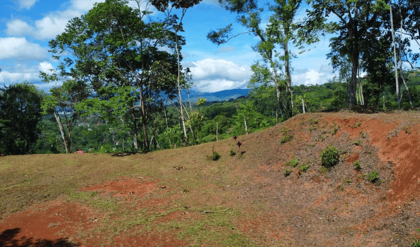 Quebradas, Perez Zeledon, 11902, ,Land,For Sale,Quebradas,1163