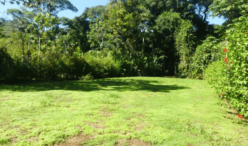 Bahia Ballena, Osa, 60504, ,Land,For Sale,Bahia Ballena,1164