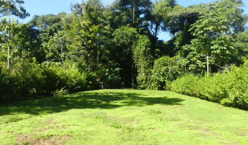 Bahia Ballena, Osa, 60504, ,Land,For Sale,Bahia Ballena,1164