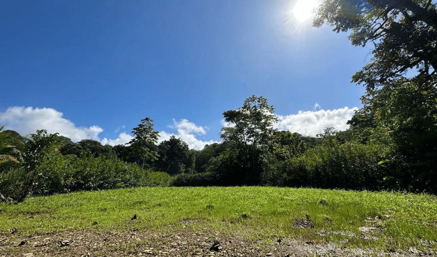 Bahia Ballena, Osa, 60504, ,Land,For Sale,Bahia Ballena,1164