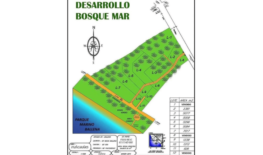 Bahia Ballena, Osa, 60504, ,Land,For Sale,Bahia Ballena,1164