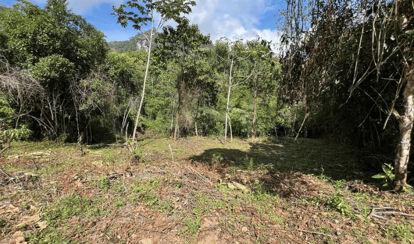 Quebradas, Perez Zeledon, 11902, ,Land,For Sale,Quebradas,1165