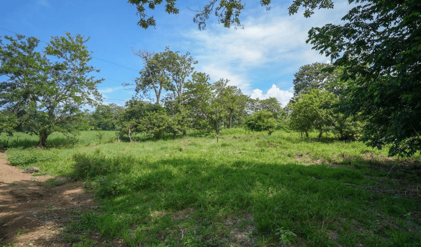 Playa Matapalo, Quepos, 60602, ,Land,For Sale,Playa Matapalo,1170