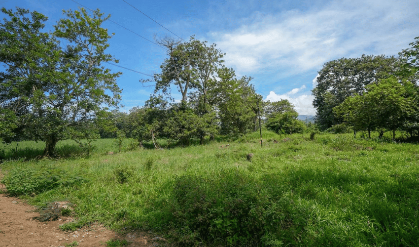 Playa Matapalo, Quepos, 60602, ,Land,For Sale,Playa Matapalo,1170