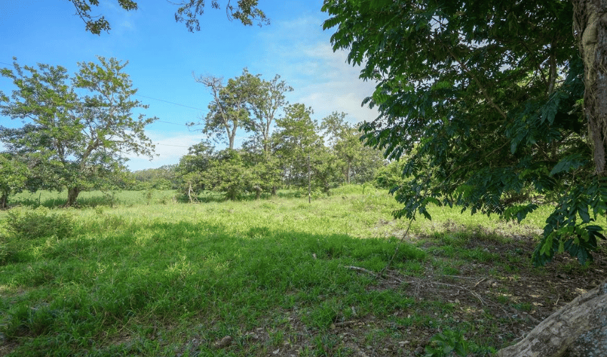 Playa Matapalo, Quepos, 60602, ,Land,For Sale,Playa Matapalo,1170