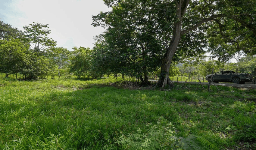 Playa Matapalo, Quepos, 60602, ,Land,For Sale,Playa Matapalo,1170