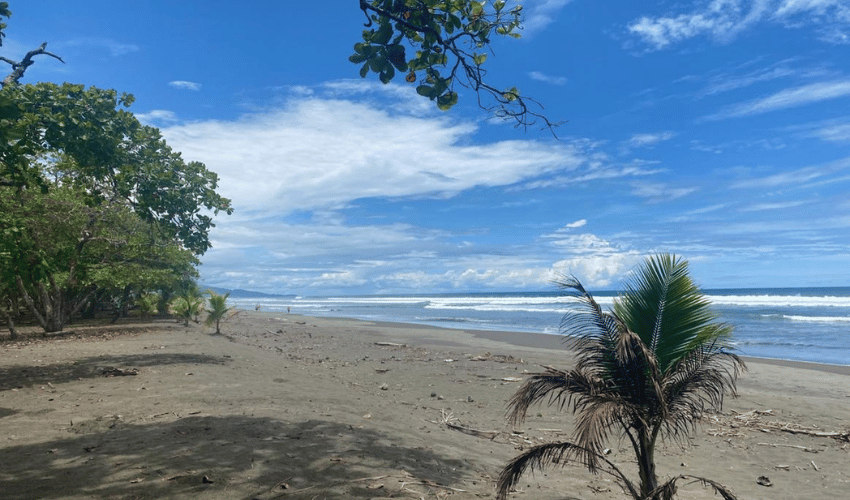 Playa Matapalo, Quepos, 60602, ,Land,For Sale,Playa Matapalo,1170