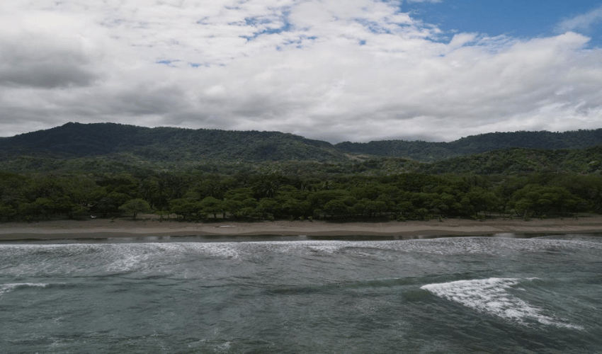 Playa Matapalo, Quepos, 60602, ,Land,For Sale,Playa Matapalo,1170