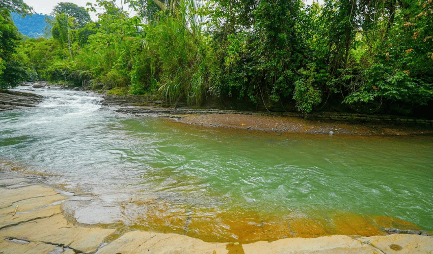 Hatillo, Savegre de Aguirre, 60602, ,Land,For Sale,Hatillo,1171