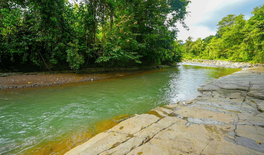 Hatillo, Savegre de Aguirre, 60602, ,Land,For Sale,Hatillo,1171