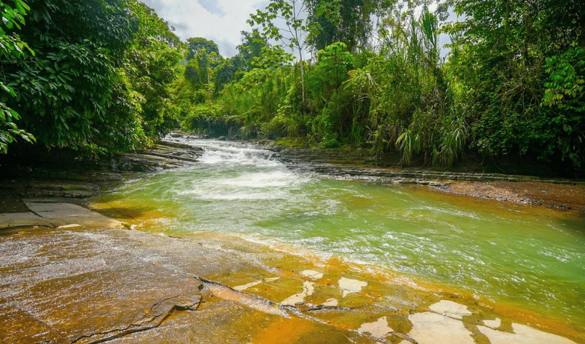 Hatillo, Savegre de Aguirre, 60602, ,Land,For Sale,Hatillo,1171