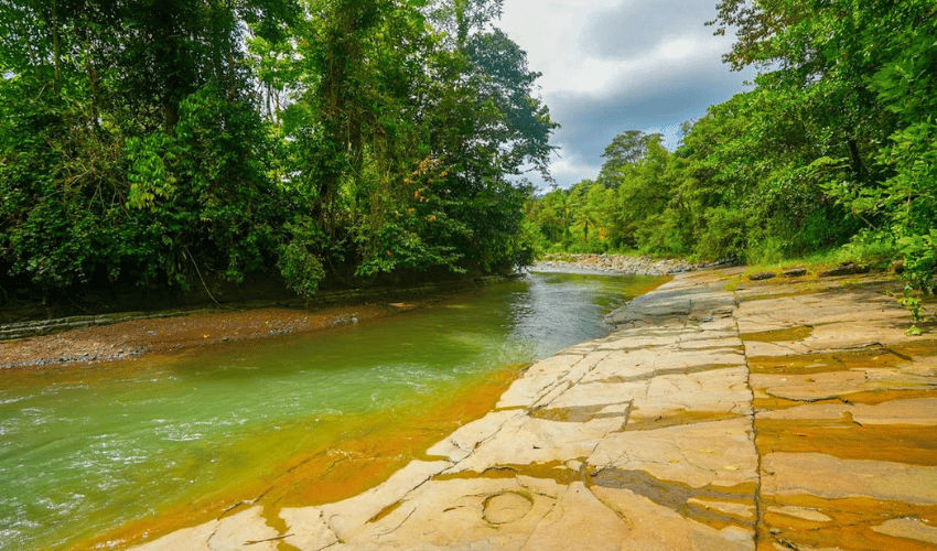 Hatillo, Savegre de Aguirre, 60602, ,Land,For Sale,Hatillo,1171