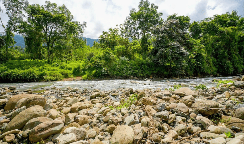 Hatillo, Savegre de Aguirre, 60602, ,Land,For Sale,Hatillo,1171