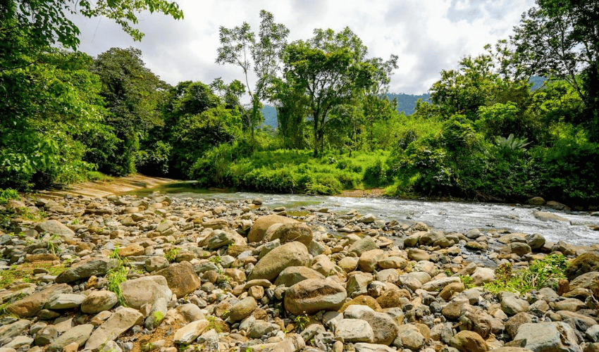 Hatillo, Savegre de Aguirre, 60602, ,Land,For Sale,Hatillo,1171