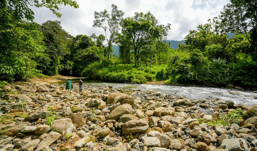 Hatillo, Savegre de Aguirre, 60602, ,Land,For Sale,Hatillo,1171