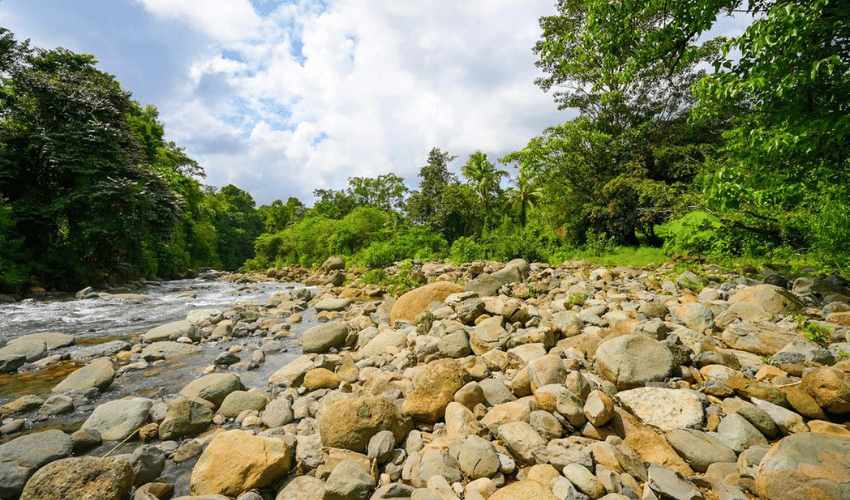 Hatillo, Savegre de Aguirre, 60602, ,Land,For Sale,Hatillo,1171