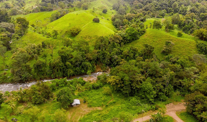 Hatillo, Savegre de Aguirre, 60602, ,Land,For Sale,Hatillo,1171