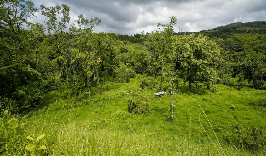 Hatillo, Savegre de Aguirre, 60602, ,Land,For Sale,Hatillo,1171