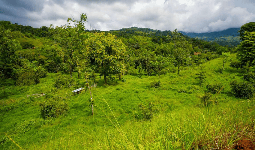 Hatillo, Savegre de Aguirre, 60602, ,Land,For Sale,Hatillo,1171