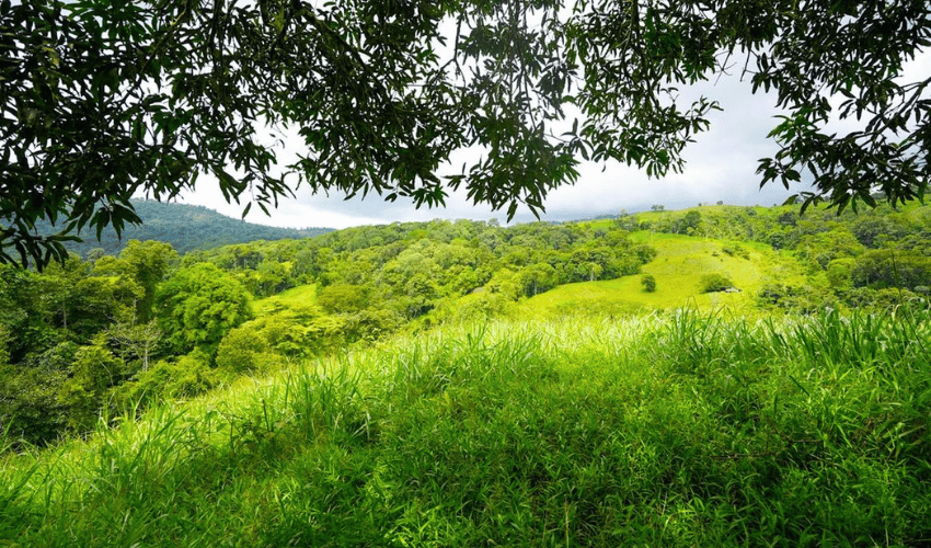 Hatillo, Savegre de Aguirre, 60602, ,Land,For Sale,Hatillo,1171