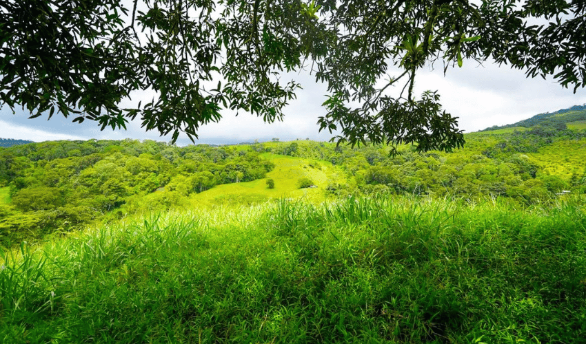 Hatillo, Savegre de Aguirre, 60602, ,Land,For Sale,Hatillo,1171