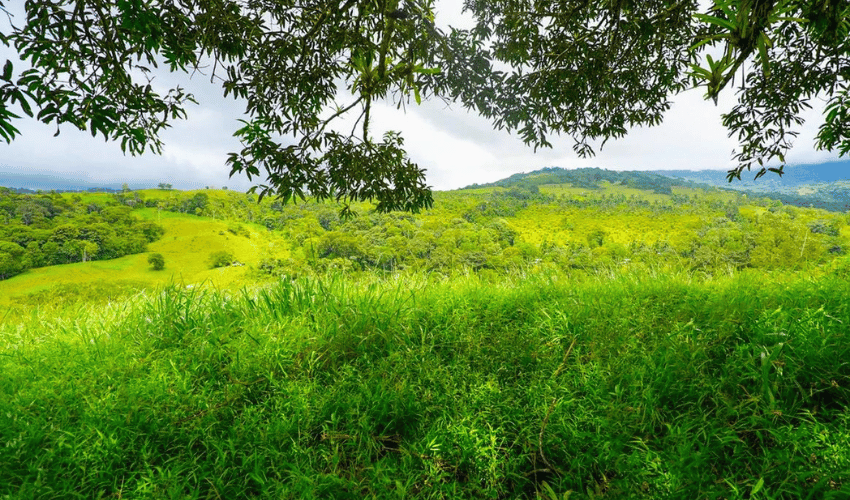 Hatillo, Savegre de Aguirre, 60602, ,Land,For Sale,Hatillo,1171