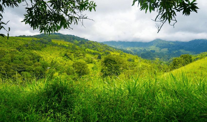 Hatillo, Savegre de Aguirre, 60602, ,Land,For Sale,Hatillo,1171