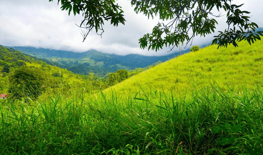 Hatillo, Savegre de Aguirre, 60602, ,Land,For Sale,Hatillo,1171