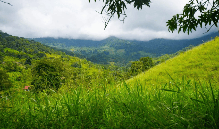 Hatillo, Savegre de Aguirre, 60602, ,Land,For Sale,Hatillo,1171