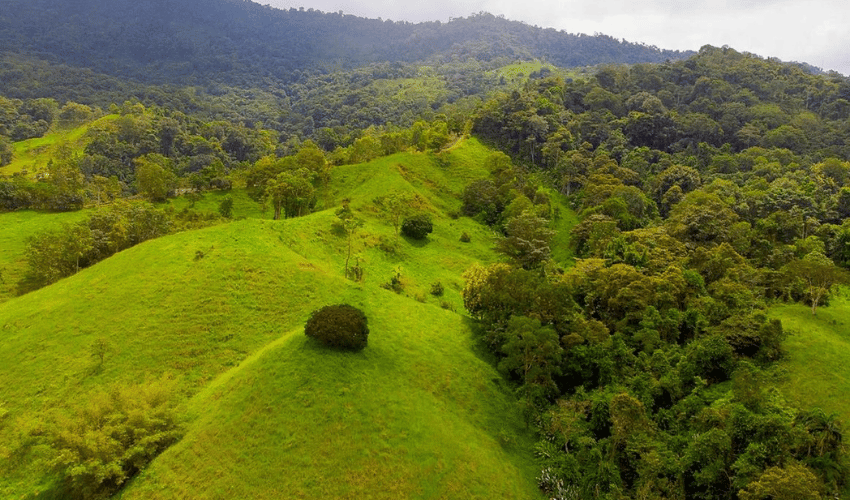 Hatillo, Savegre de Aguirre, 60602, ,Land,For Sale,Hatillo,1171