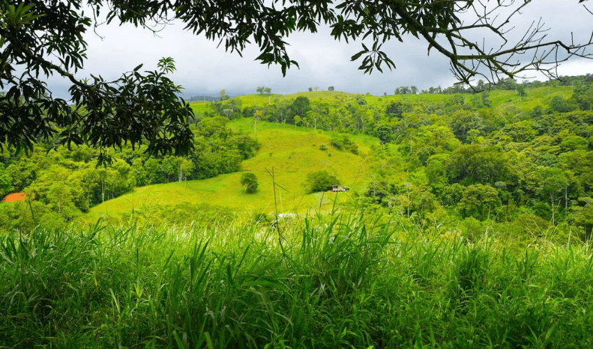 Hatillo, Savegre de Aguirre, 60602, ,Land,For Sale,Hatillo,1171