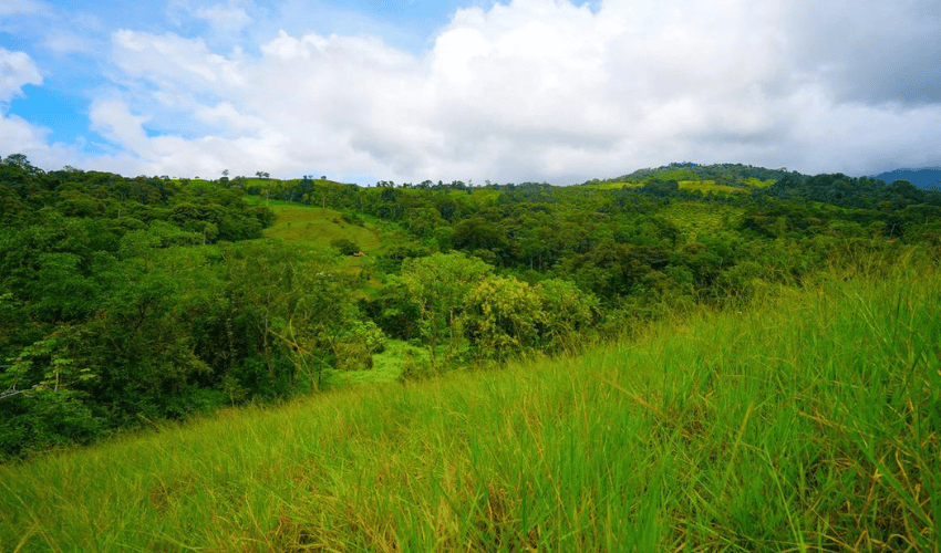 Hatillo, Savegre de Aguirre, 60602, ,Land,For Sale,Hatillo,1171