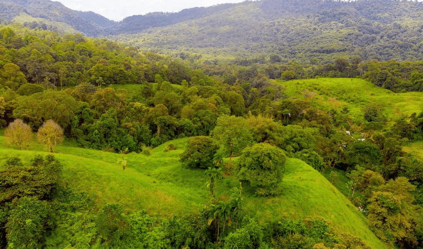 Hatillo, Savegre de Aguirre, 60602, ,Land,For Sale,Hatillo,1171