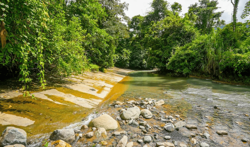 Hatillo, Savegre de Aguirre, 60602, ,Land,For Sale,Hatillo,1171