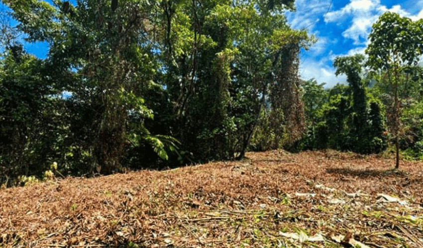 Dos Bocas, Savegre de Aguirre, 60602, ,Land,For Sale,Dos Bocas,1173