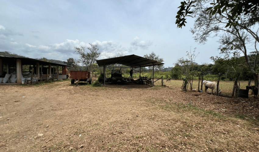 Perez Zeledon, 11902, ,Land,For Sale,1175