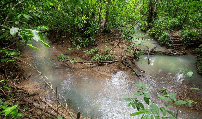 Quepos Centro, Quepos, 60601, ,Land,For Sale,Quepos Centro,1176