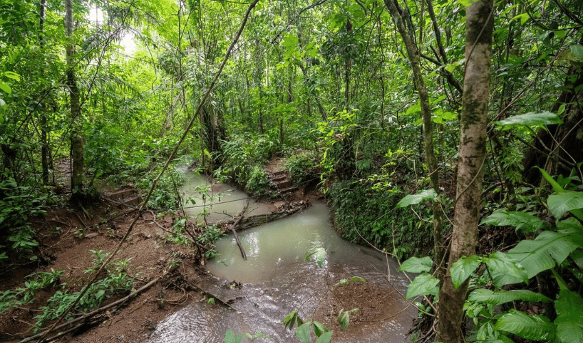 Quepos Centro, Quepos, 60601, ,Land,For Sale,Quepos Centro,1176