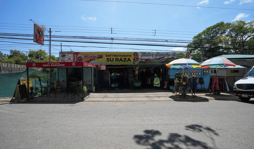 Dominical, Osa, 60504, ,Commercial,For Sale,Dominical,1187