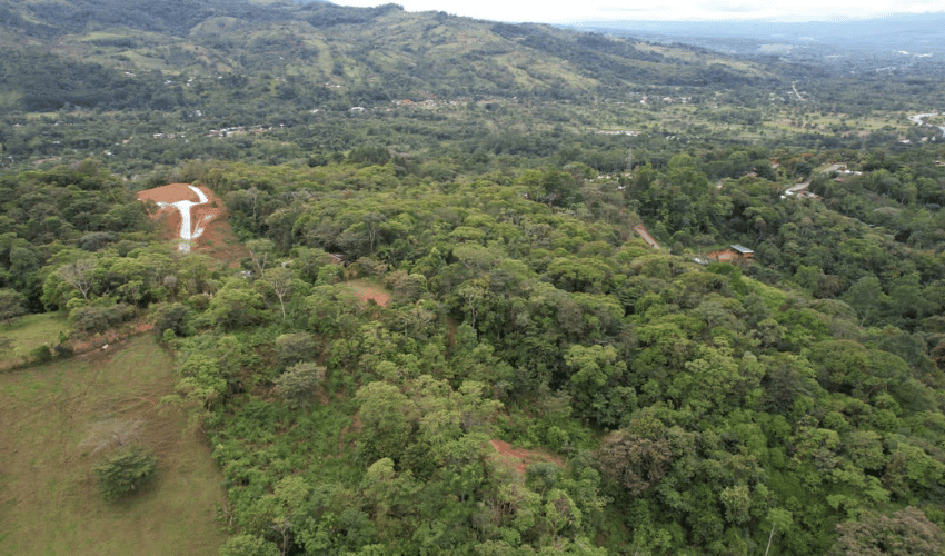 Pérez zeledon, 11904, ,Land,For Sale,1194