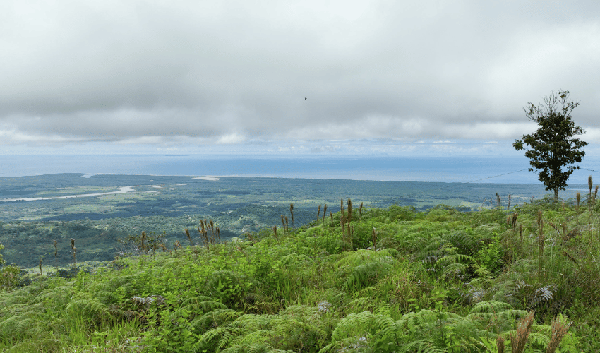 Ciudad Cortez, Osa, 60501, ,Land,For Sale,Ciudad Cortez,1212