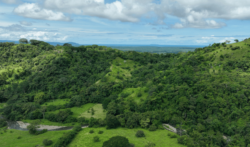 Ciudad Cortéz, Osa, 60501, ,Land,For Sale,Ciudad Cortéz,1214