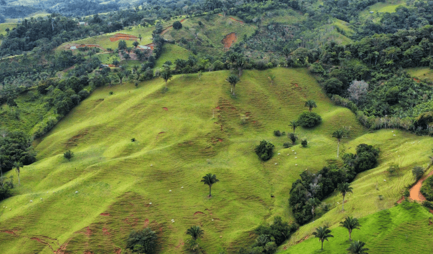 Perez zeledon, 11901, ,Land,For Sale,1222