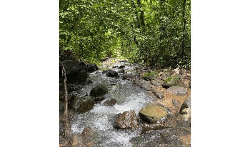 Playa Hermosa, Osa, 61101, ,Land,For Sale,Playa Hermosa,1023