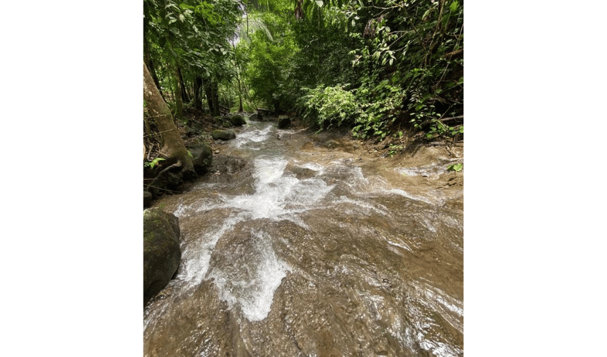 Playa Hermosa, Osa, 61101, ,Land,For Sale,Playa Hermosa,1023