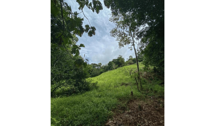 Playa Hermosa, Osa, 61101, ,Land,For Sale,Playa Hermosa,1023