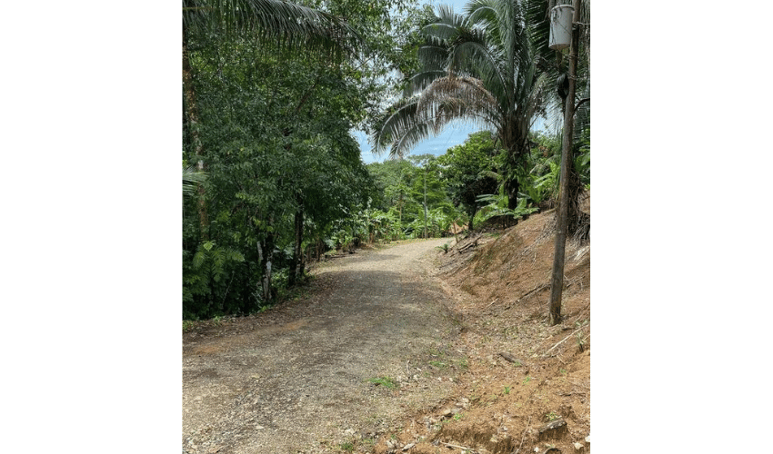 Playa Hermosa, Osa, 61101, ,Land,For Sale,Playa Hermosa,1023