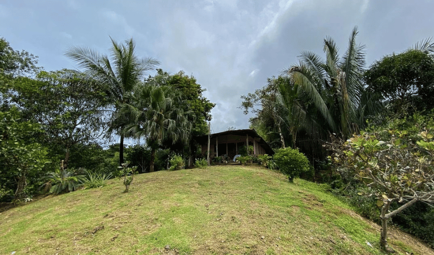 Playa Hermosa, Osa, 61101, ,Land,For Sale,Playa Hermosa,1023