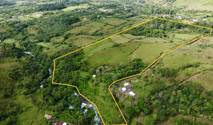 Cajón, ,Land,For Sale,1242