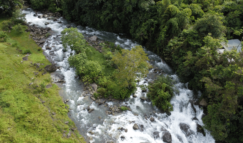 Cajón, ,Land,For Sale,1242